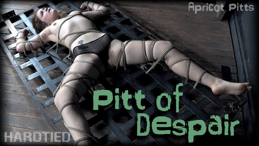 Pitt of Despair
