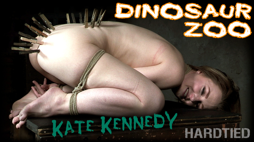 Dinosaur Zoo
