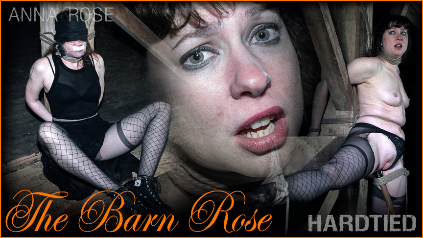 The Barn Rose